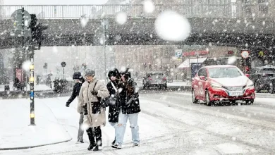 24df7a66 f0dc 45a2 ae85 0a83dcdd4688 1