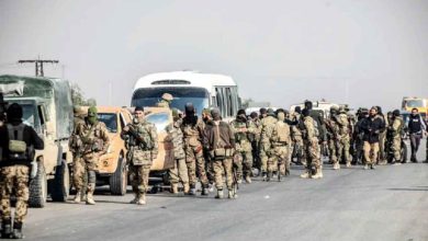 36409139 1733512201 1