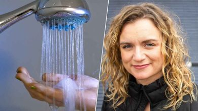 6de5c97b f1c0 46a8 b7e0 3c89fc253fff 1