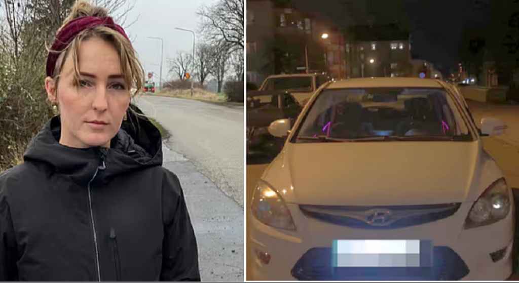 قانون سويدي يتيح مصادرة سيارتك إذا أعَرتها لصديق مديون. "إيبا" خسرت سيارتها لهذا السبب! 1 8787 2