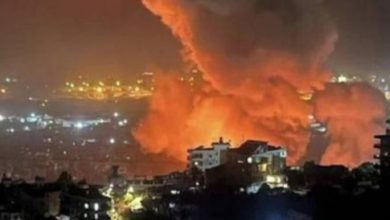 Almahriah2024 10 17 04 29 36 779575