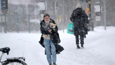 a56574e5 d8ff 4223 8678 2852e8d1c496 1