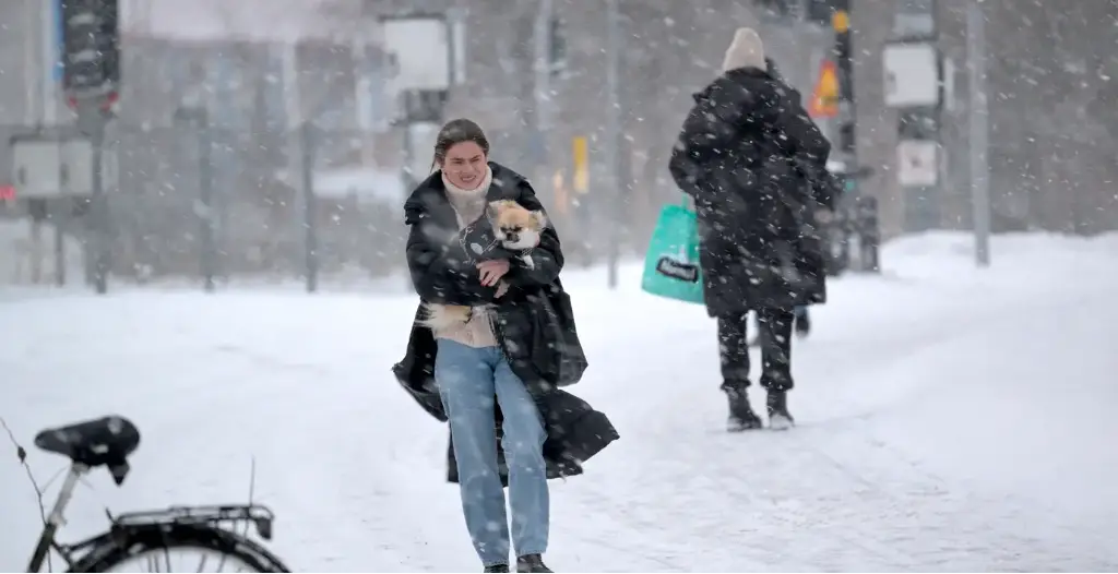 a56574e5 d8ff 4223 8678 2852e8d1c496 1