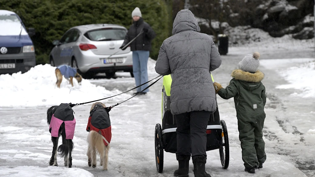 fadd2e85 13e3 415b 9c89 fb468c7f2700