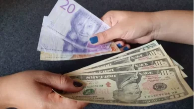 hander vaxlar kronor dollar 1