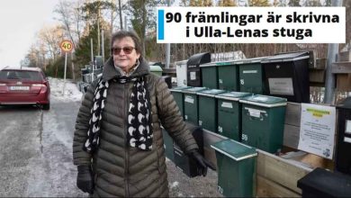 image 3.310249.213613.20241220103303 1