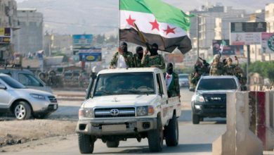 فصائل موالية