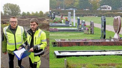 044fca9d 3663 5eec a60b bc09c91c6347 1