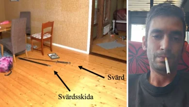 071eda83 99ba 4453 934c e7b4760ff3ff