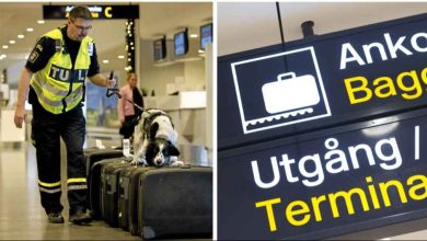 0kUuN7 54lNX8oHWoRYK7qSan k8 REGULAR 1 2