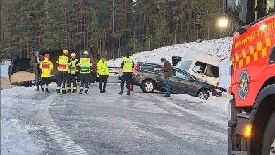 472209860 1009816497855227 1005144299457732466 n 1