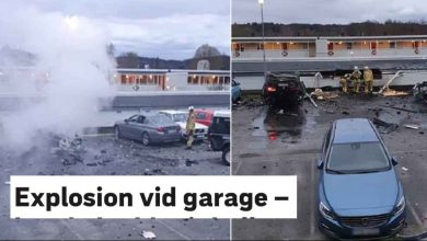 472209860 1009816497855227 1005144299457732466 n 2