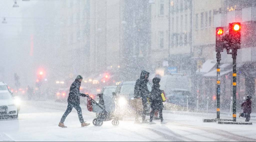 Screenshot2025 01 03151322 638145 1 1