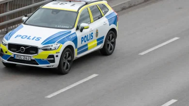 dc1c6775 5f0f 4445 a030 cedebadb8701