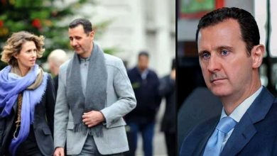 295454379 195813479468550 6143129127476958638 n 1