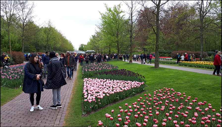 3f1b2 20180428 1141102b 2b800x2bc 1