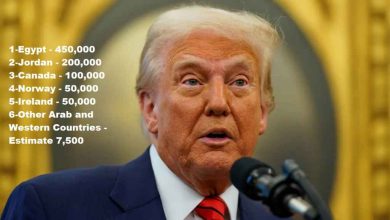 4716eeba 2945 4fb1 a201 beea67b8f4e9 16x9 1200x676 1