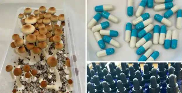 53f670a9 6d48 4ef7 80c1 349dd3c4223a 1