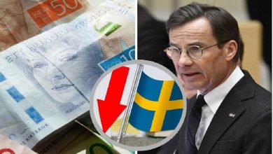 Bo Becker kronika loner 900x600 1