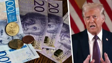 MZWmeMnh Dubbelbild Sned2 Realtid 1