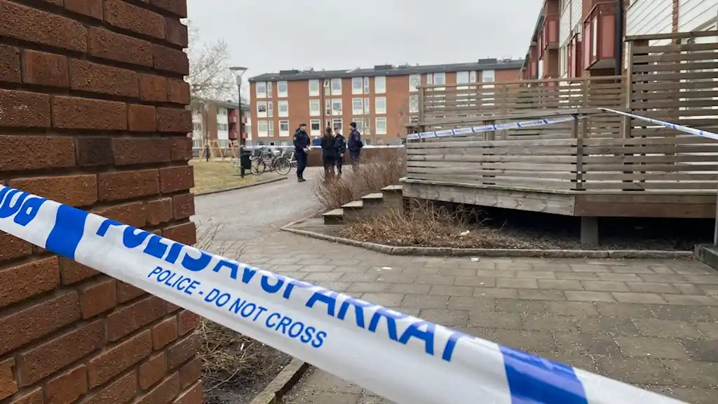 aa05bd53 3b77 4bc1 803e 86586d6b38ec 1