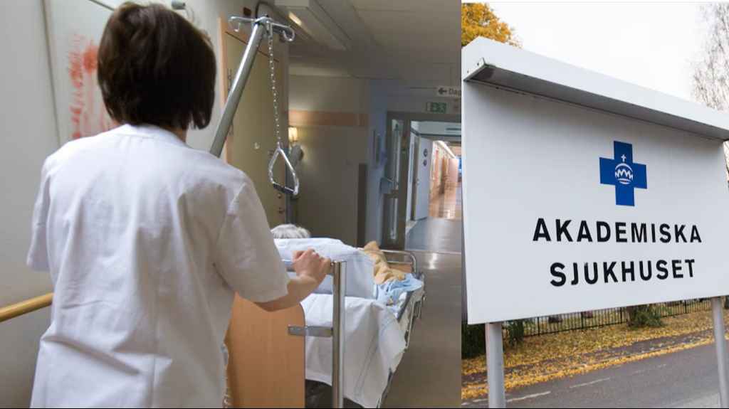 artificial heart abiocor hand 1