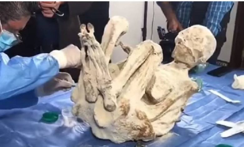 buy novelty documents fke id fake driving license fake passport fake certificate qibn7ecy79xg1sjfv850gwix04yhrktzqmoemwon74 1