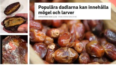 c7ea9041 ddb4 41e5 8d6c 3959e228cad1 1