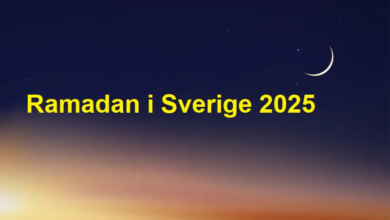 e4435c3b e643 4d03 b8e3