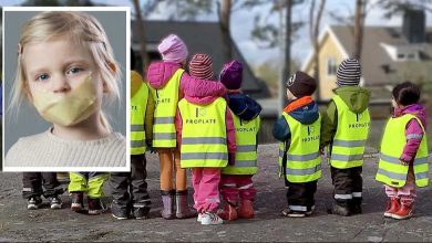 reflex Linkedin 002 1