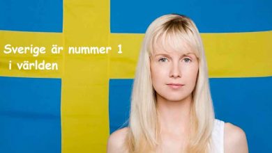 1597260 12 20250308113002 1