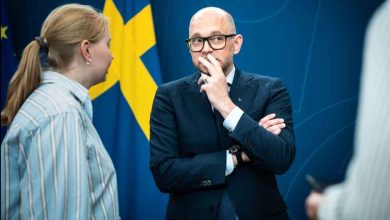 486694901 1073359344832589 7630371395436691577 n 1