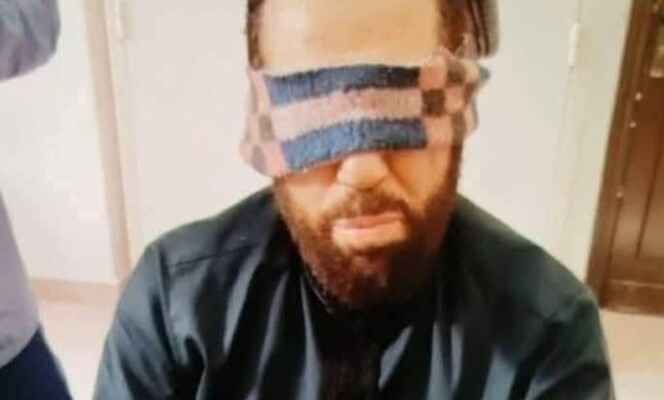 7235453 1743019749 1