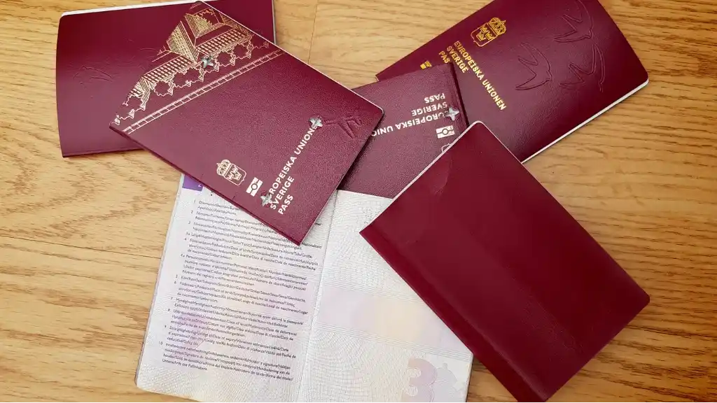 c8b40964 305d 41ab bdfd 500e9a46ea7b 1