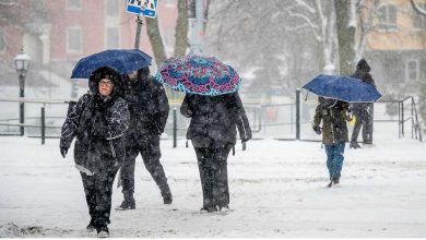 dfac0339 a57b 4806 8245 68bbed638a4d 1