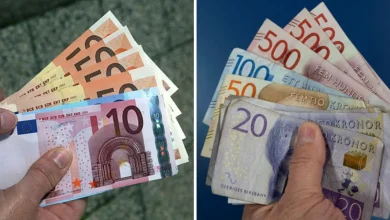 ef9022cc d22a 4674 bbcd cd3b3fe0699c