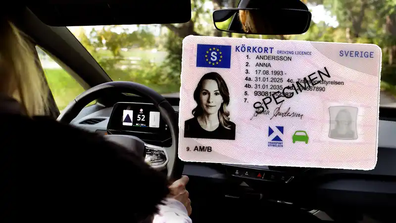 plsIqFJjGy6cPedro1JGpike2MFYQ5e2XbFpj8gm 1