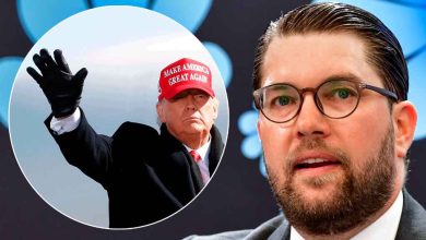 20211110081136 618b849fc85acedcefede30djpeg 1