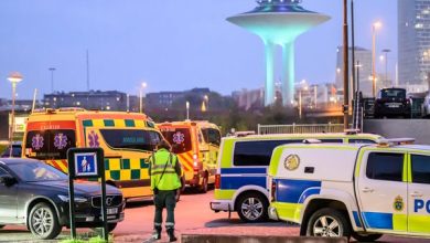 492086693 995044136156991 3609188673986359451 n