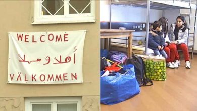 492405549 661480296501759 201657279651286054 n 1