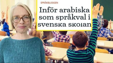 ingela finndahl om hur eleverna gor sitt sprakval i arskurs fem 1