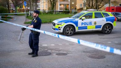 488681566 983337913994280 347792753634273425 n 1