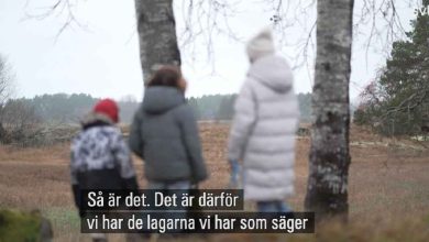 494593082 9840488039369440 2093994914925280077 n 2