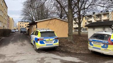 a92051d1 bee2 4395 aecb 8e6f77ccd8a9 1