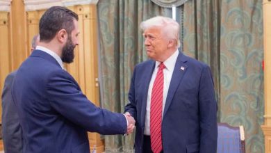 sdf87sd8f7 1747210964 1