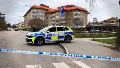 2024093007098 82843d907823a9edd0bd5739028cbc576631e1e179f77da0167b4302eedf434c 4