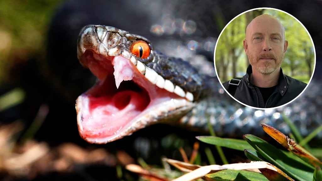 6ae7bde6 739f 496f b93b b600b370f42a 1