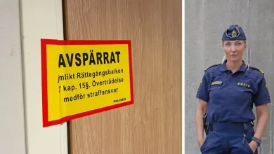 77e2d739 e461 4a16 b823 622295272ef5 1