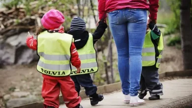 f1908e03 17a5 502b ab4b fc2585506c7b 1