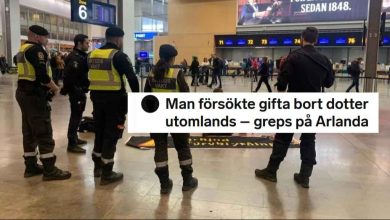 image 3.316999.222282.20250213095310.1 1